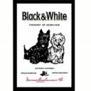 Logo BLACK AND WHITE